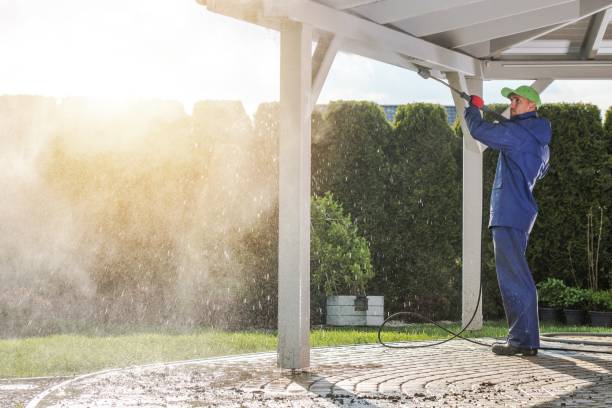 Pre-Holiday Cleaning in North Miami, FL